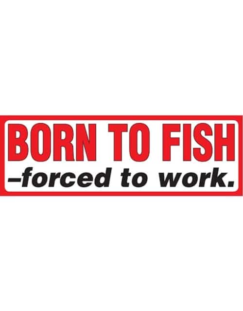 Born to Fish forced to.