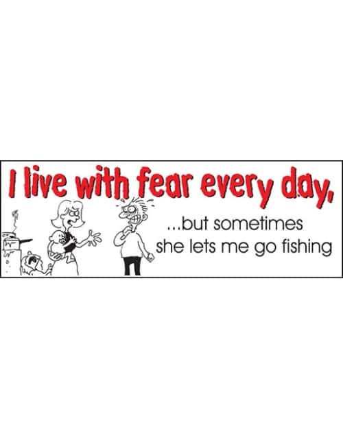 I live with fear every.