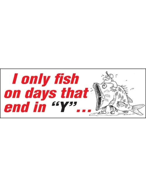 I only fish on days.