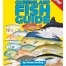 queensland fish id guide
