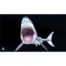 Deluxe Helm Mat Shark