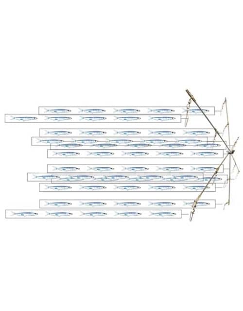 Dredge 24 Collapsible 16 Laser Fish Strips