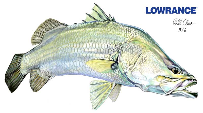 FRESHWATER FISHING AUSTRALIA 161 *FREE STICKER 3 OF 6* WIN: HDS Live Sounder - Image 2