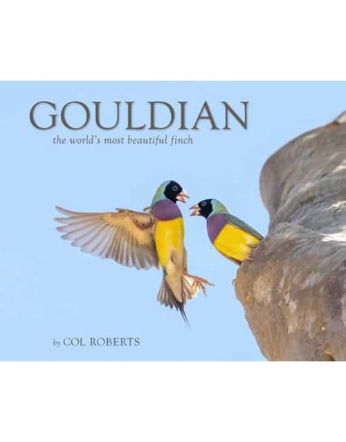 Gouldian - The World's Most Beautiful FInch