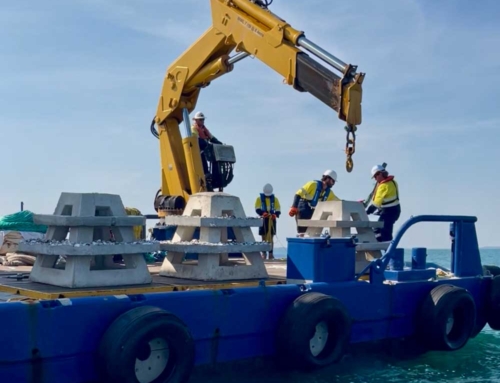 Territory Innovation – AI Enhanced Artificial Reefs