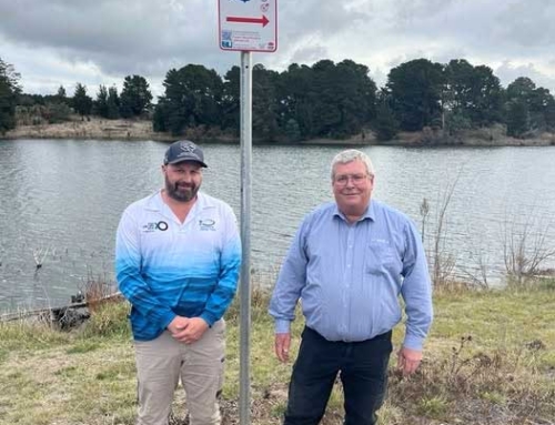 Spring Creek Reservoir at Orange Open to Artificial Lure and Fly Fishing