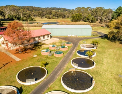 Dutton Trout Hatchery at Ebor re-opens to visitors