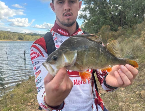 Redfin reported in Thompsons Creek Dam