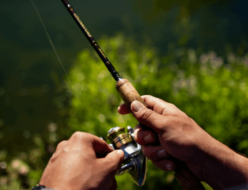 Regional Waterway Strategies