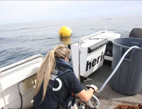 FADS Deployment Update