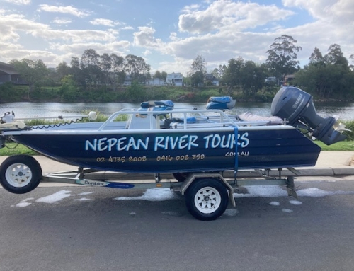 Nepean River Tours