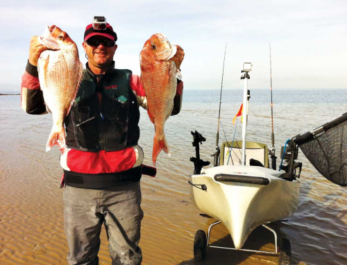 Snapper Season Safety