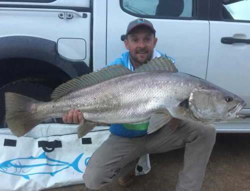 FEEDBACK SOUGHT ON MULLOWAY IMPROVEMENT PROGRAM