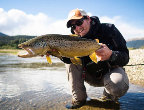 TROUT SEASON BEGINS WITH FREE FISHING FESTIVAL AT EILDON