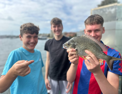 🎣Spring Fishing on Sydney Wharves 🎣