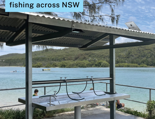 🎉More Than $380,000 Invested Back Into Recreational Fishing Across NSW!